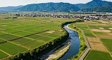 田舎/郊外